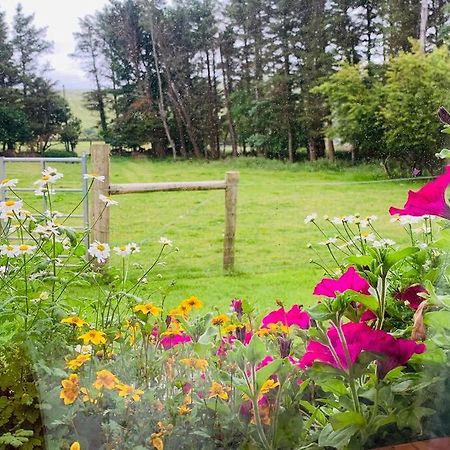 لويسبورغ Glen Keen Farm Cottage المظهر الخارجي الصورة